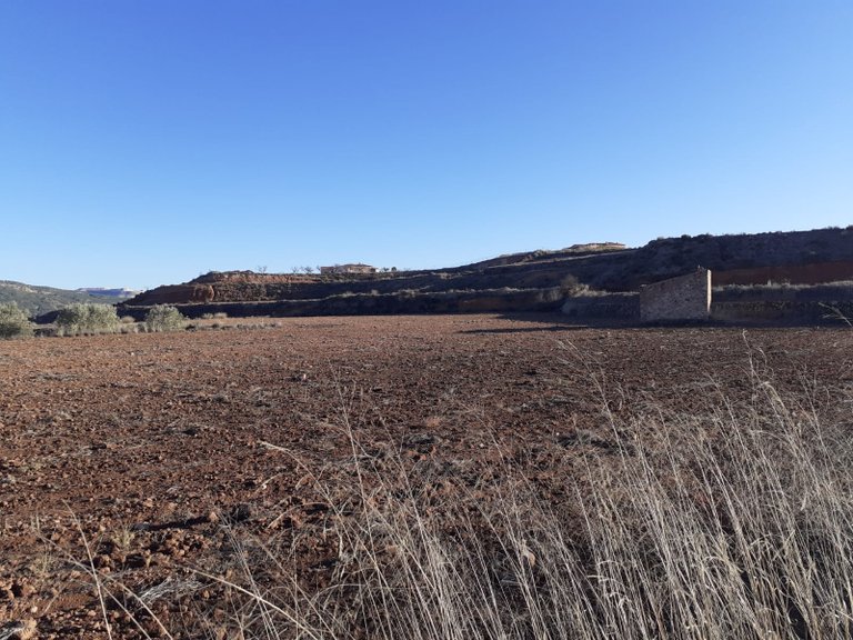 Plot for Sale in Pinoso, Alicante 1