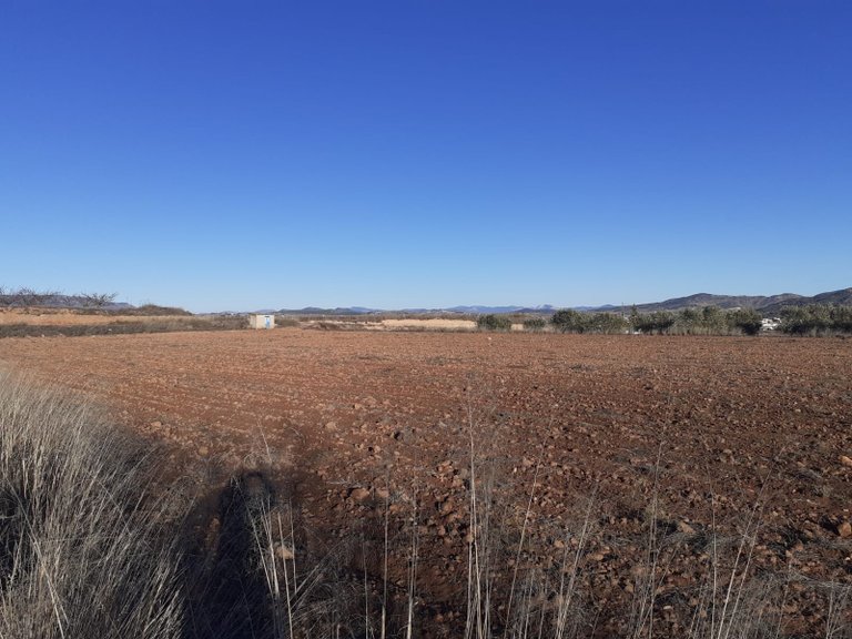 Plot for Sale in Pinoso, Alicante 3