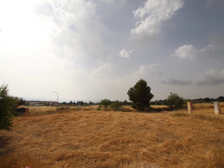 Plot for Sale in Caudete, Albacete 6