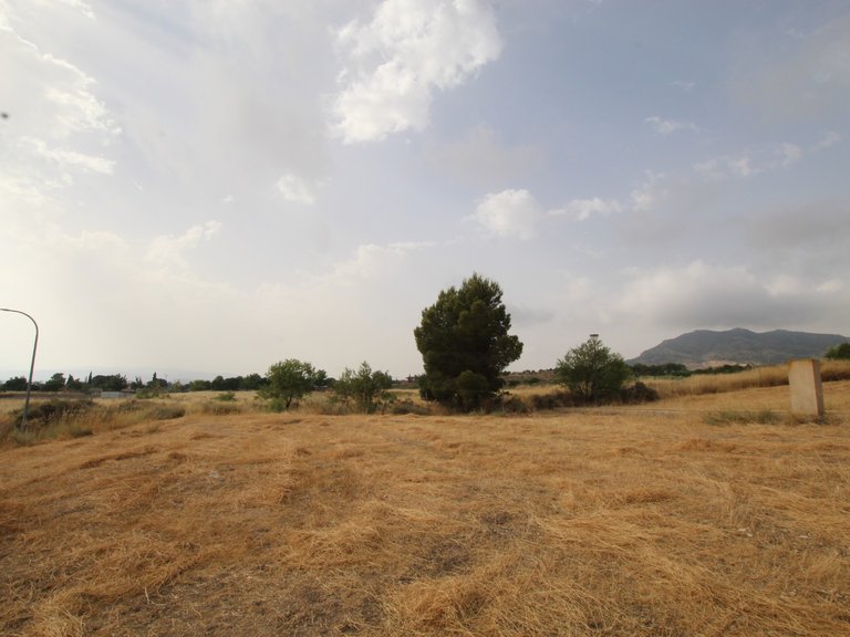 Plot for Sale in Caudete, Albacete 2