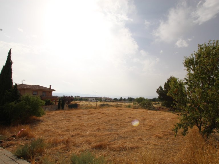Plot for Sale in Caudete, Albacete 1