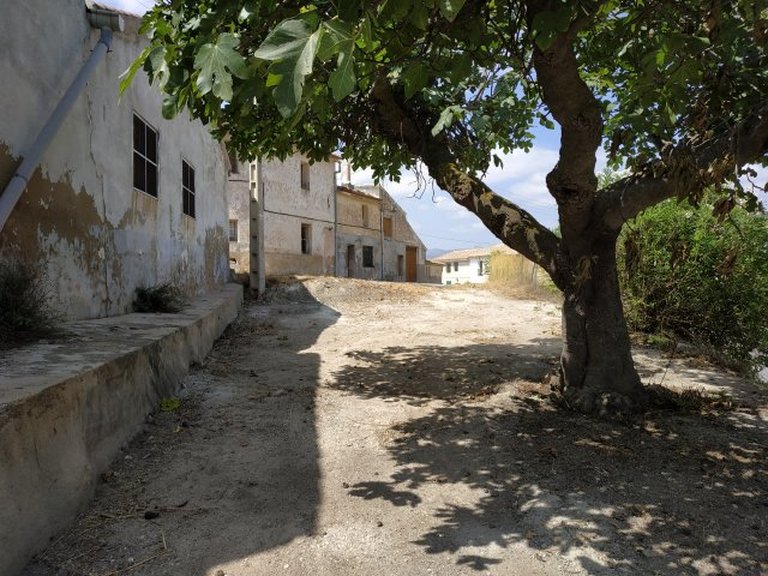Town House for Sale in Pinoso, Alicante 13