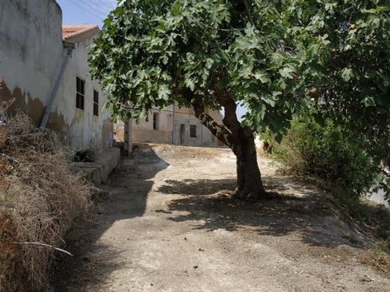 Town House for Sale in Pinoso, Alicante 21