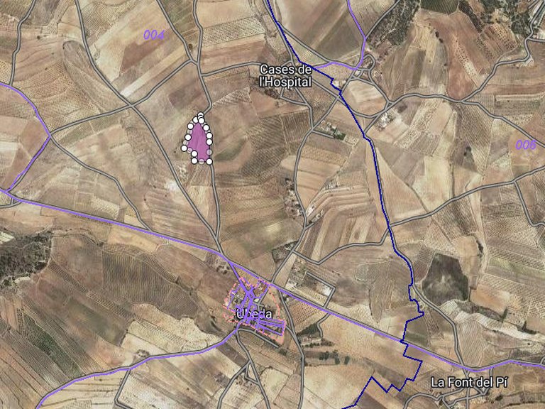 Plot for Sale in Pinoso, Alicante 2