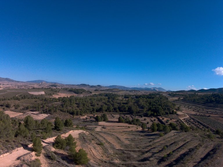 Plot for Sale in La Zarza, Murcia 5
