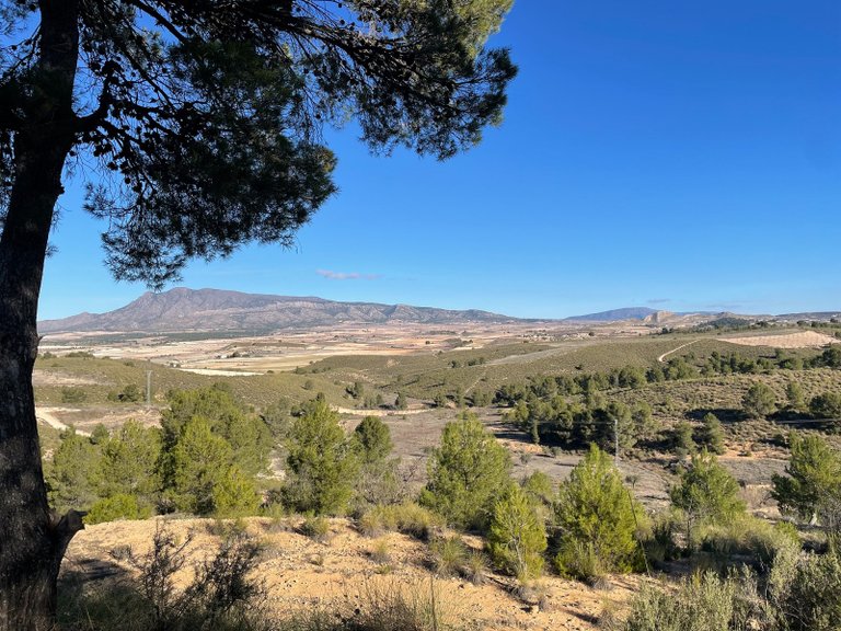 Plot for Sale in La Zarza, Murcia 1