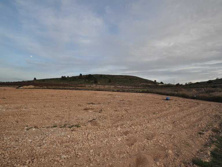 Plot for Sale in Cañada Del Trigo, Murcia 1