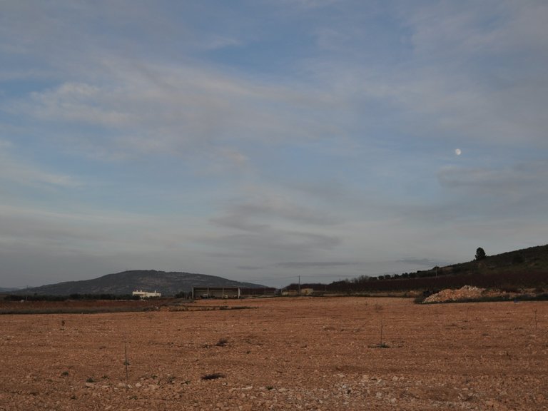 Plot for Sale in Cañada Del Trigo, Murcia 5