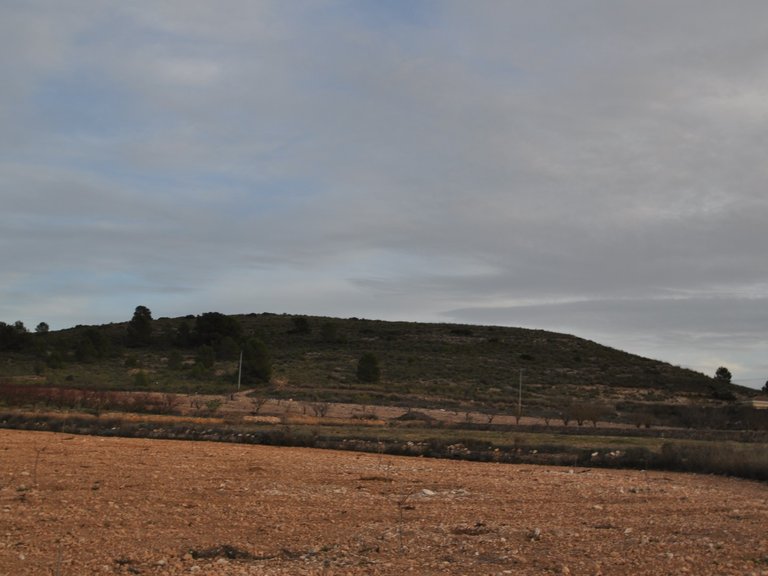 Plot for Sale in Cañada Del Trigo, Murcia 6