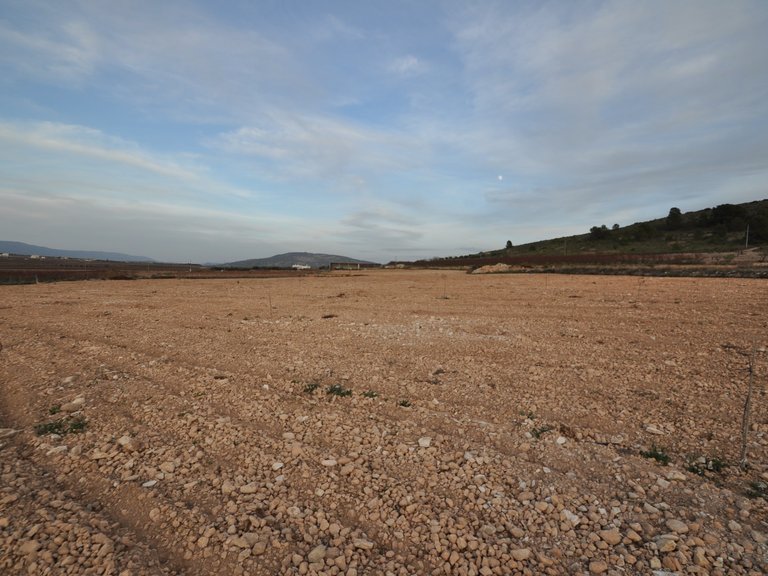 Plot for Sale in Cañada Del Trigo, Murcia 9