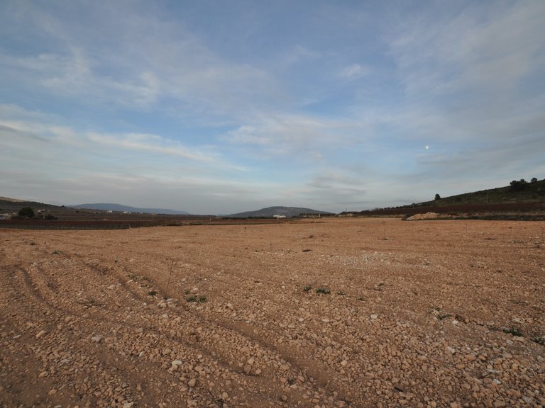 Plot for Sale in Cañada Del Trigo, Murcia 2