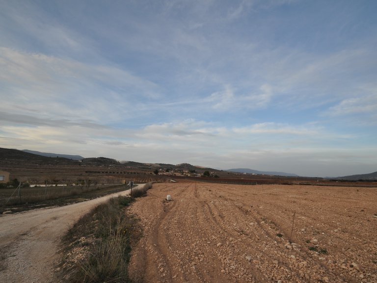 Plot for Sale in Cañada Del Trigo, Murcia 3