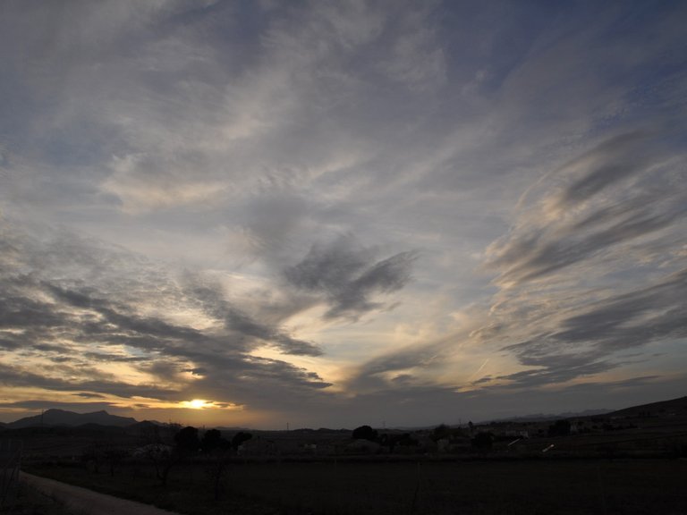 Plot for Sale in Cañada Del Trigo, Murcia 10