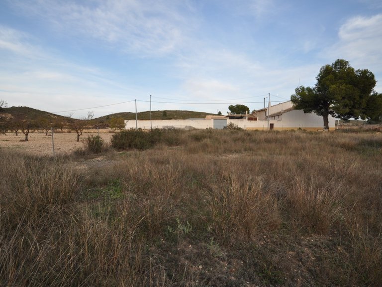 Plot for Sale in Cañada Del Trigo, Murcia 2