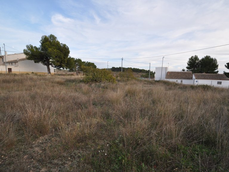 Plot for Sale in Cañada Del Trigo, Murcia 3