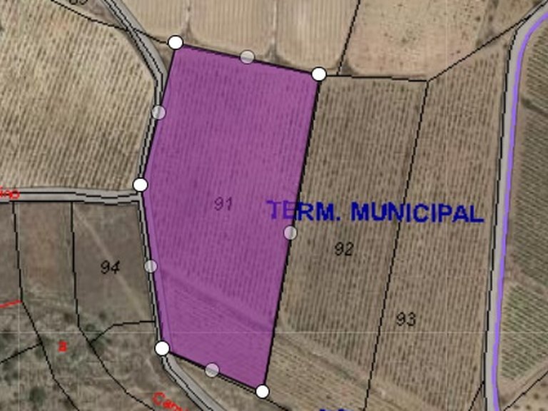 Plot for Sale in Monovar, Alicante 1