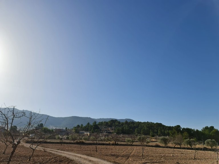 Plot for Sale in Jumilla, Murcia 3