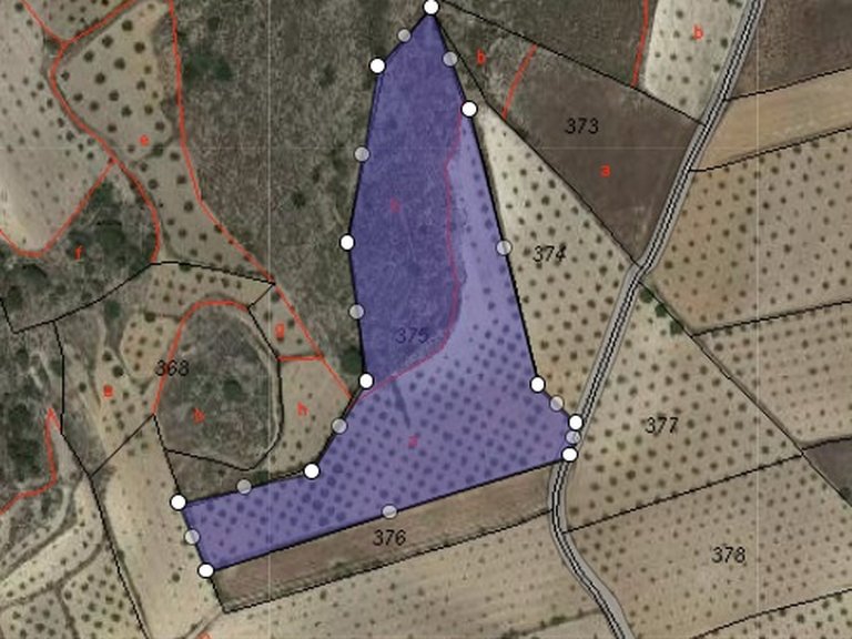 Plot for Sale in Jumilla, Murcia 5
