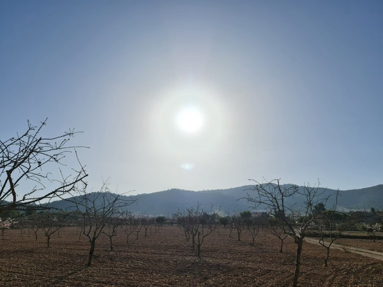 Plot for Sale in Jumilla, Murcia 9
