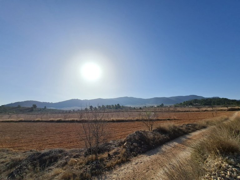 Plot for Sale in Jumilla, Murcia 12