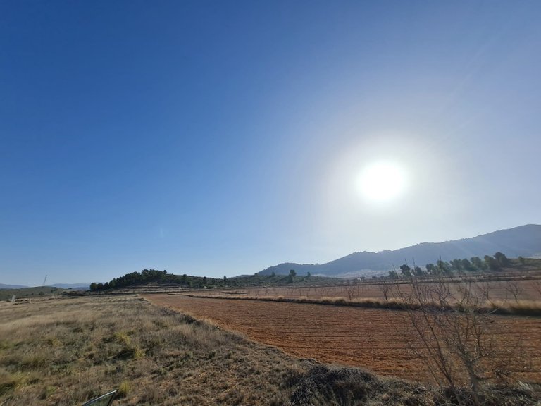 Plot for Sale in Jumilla, Murcia 11