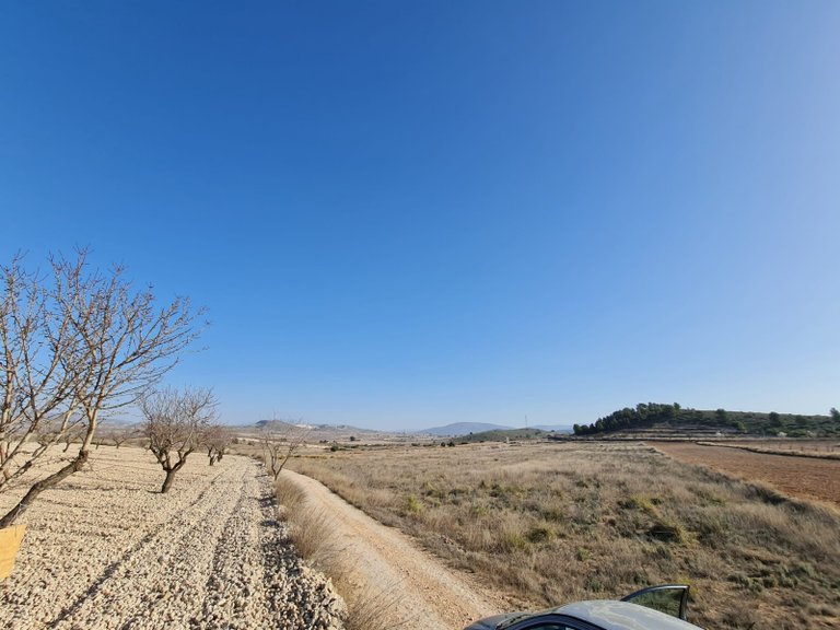 Plot for Sale in Jumilla, Murcia 10