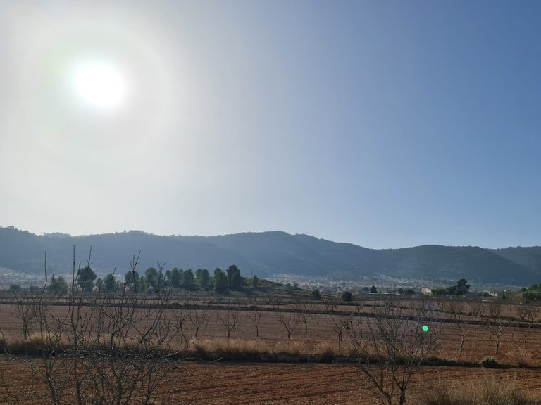 Plot for Sale in Jumilla, Murcia 3