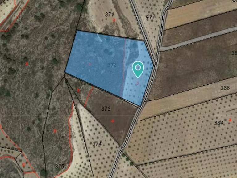 Plot for Sale in Jumilla, Murcia 4