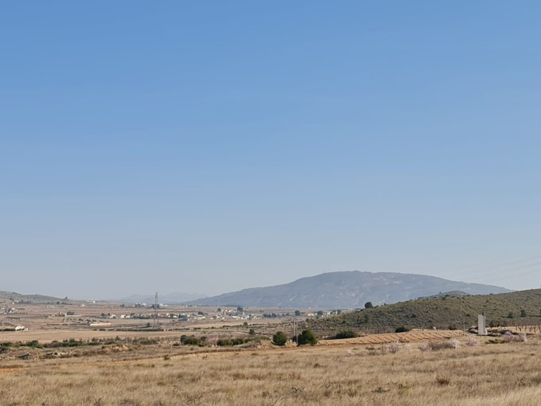 Plot for Sale in Jumilla, Murcia 6