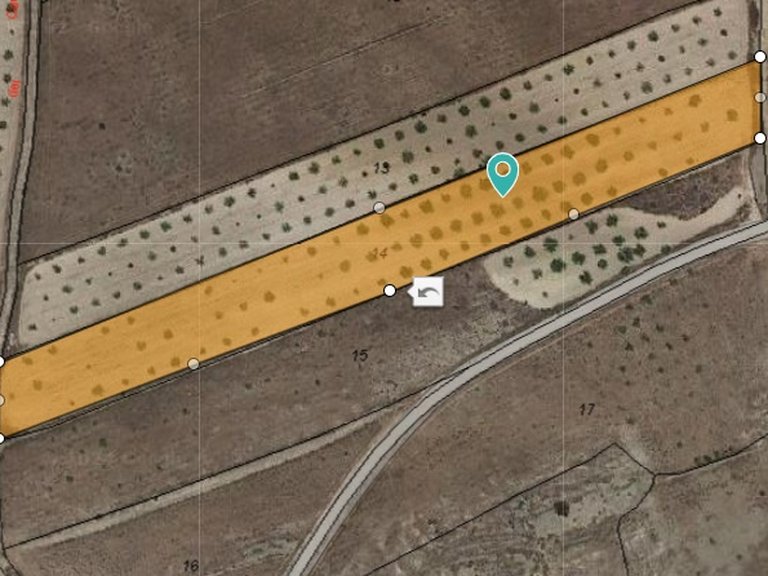 Plot for Sale in Jumilla, Murcia 3