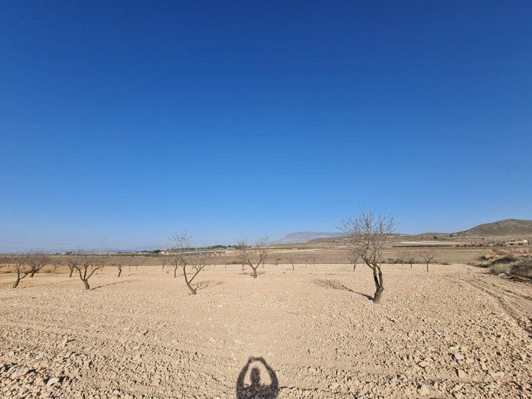 Plot for Sale in Jumilla, Murcia 8