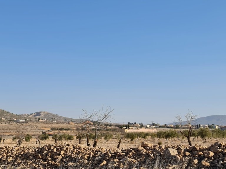 Plot for Sale in Jumilla, Murcia 4