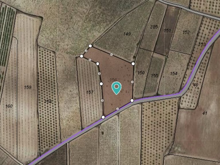 Plot for Sale in Pinoso, Alicante 1