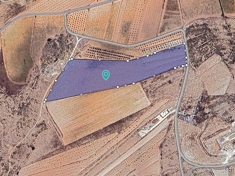Plot for Sale in Pinoso, Alicante 3