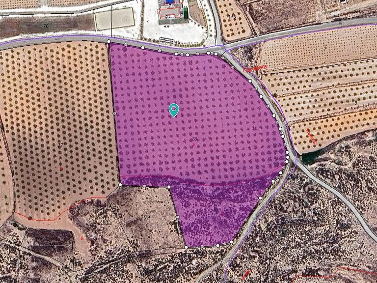 Plot for Sale in Pinoso, Alicante 8