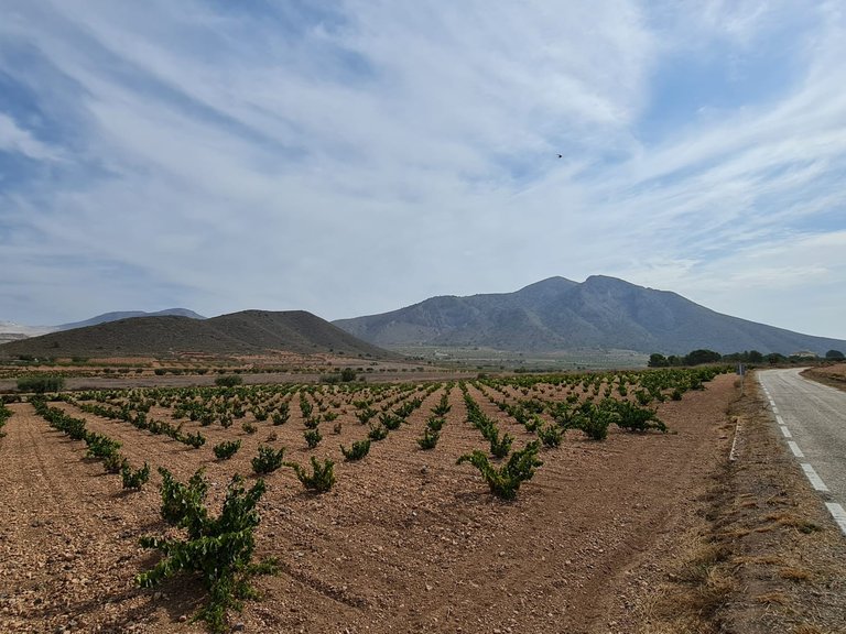 Plot for Sale in Abanilla, Murcia 10