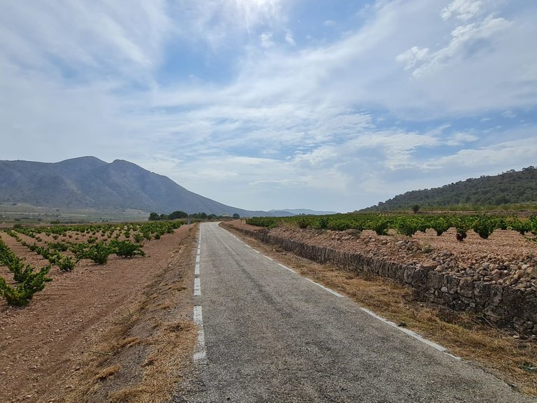 Plot for Sale in Abanilla, Murcia 7