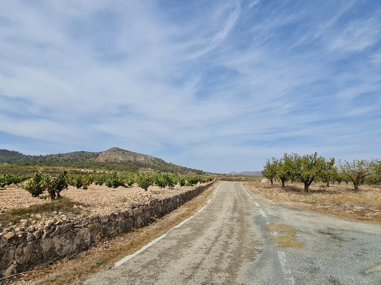 Plot for Sale in Abanilla, Murcia 9