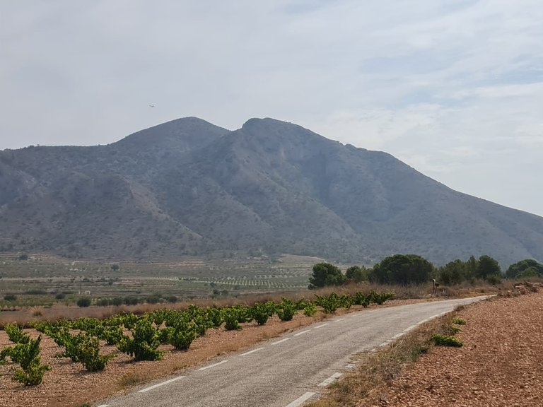 Plot for Sale in Abanilla, Murcia 4