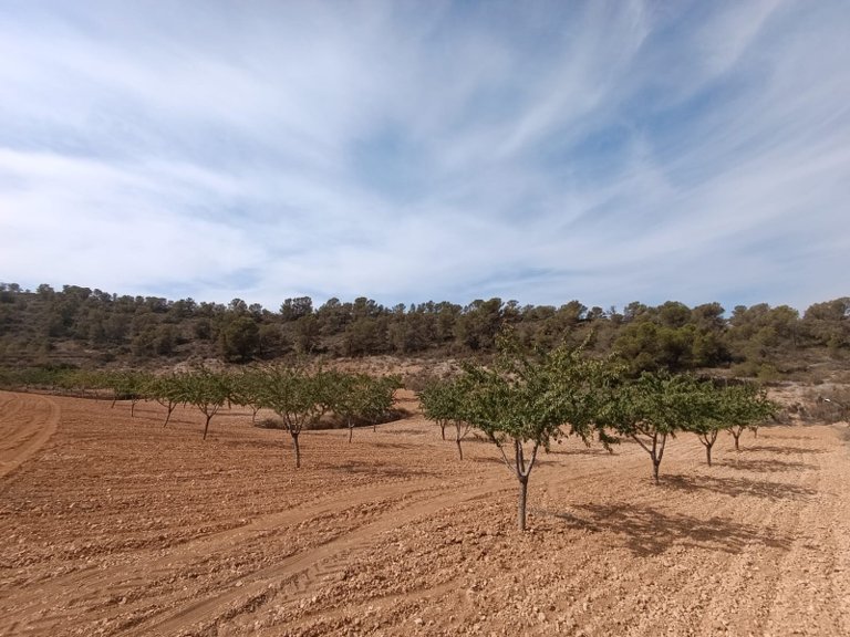 Plot for Sale in Abanilla, Murcia 3
