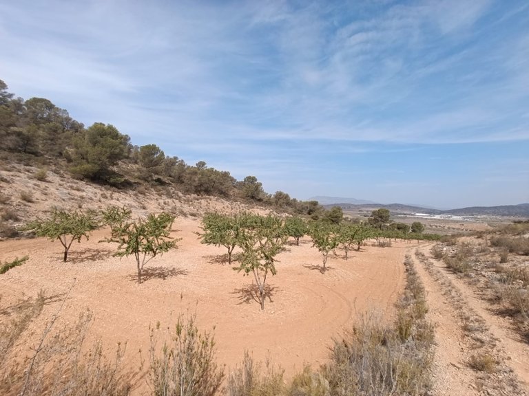 Plot for Sale in Abanilla, Murcia 2