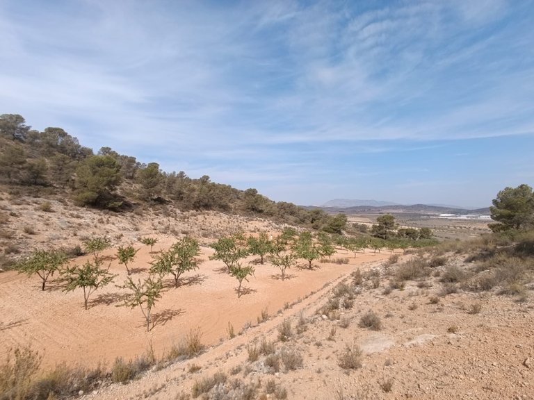 Plot for Sale in Abanilla, Murcia 1