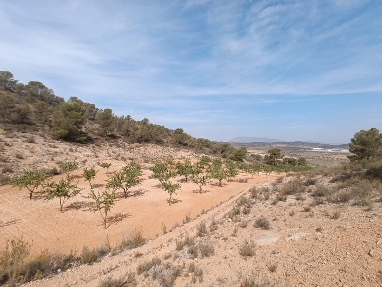 Plot for Sale in Abanilla, Murcia 5