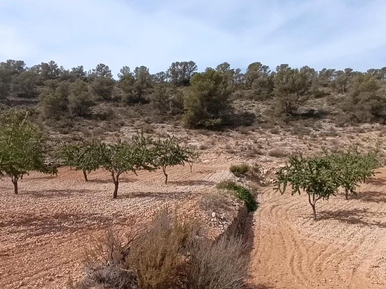 Plot for Sale in Abanilla, Murcia 7