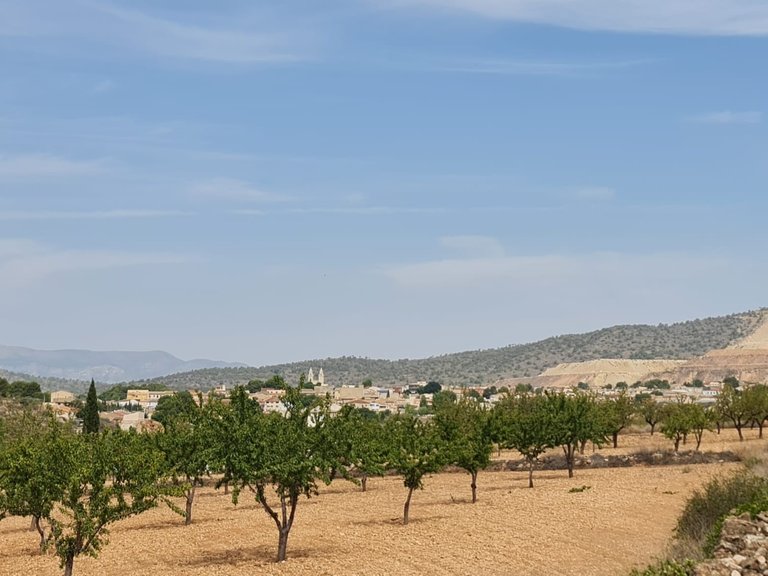 Plot for Sale in Algueña, Alicante 7