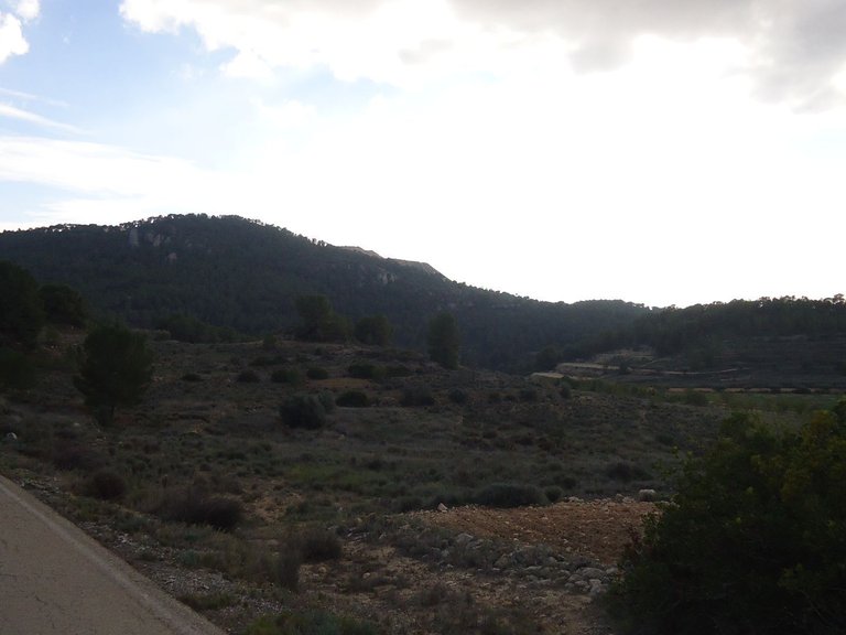 Plot for Sale in Pinoso, Alicante 3