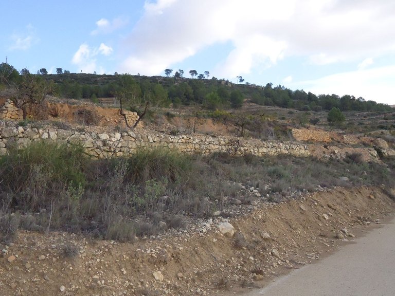 Plot for Sale in Pinoso, Alicante 2