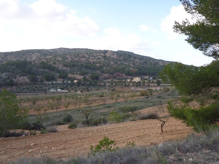 Plot for Sale in Pinoso, Alicante 1