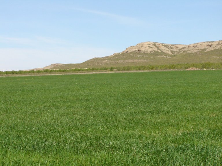 Plot for Sale in Yecla, Murcia 1