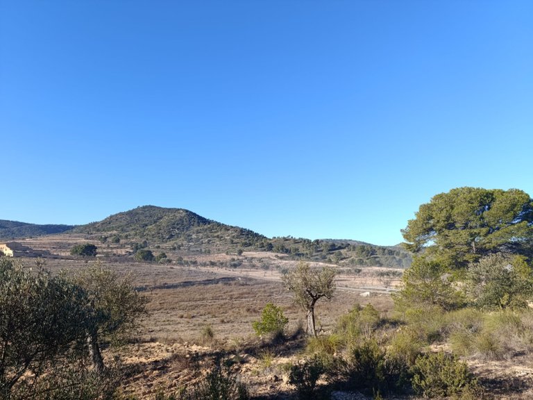 Plot for Sale in Yecla, Murcia 2